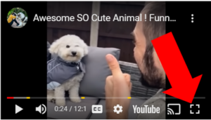 YouTube-video med hund og menneske, og med pil som peker på fullskjermknappen.